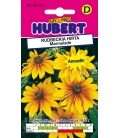 Graines de Rudbeckia Marmalade