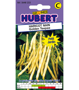 Graines de Haricot beurre mangetout nain Golden Teepee