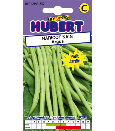Haricot Argus Nain Mangetout 50 Graines