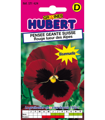 Pens&eacute;e G&eacute;ante Suisse Rouge Lueur des Alpes