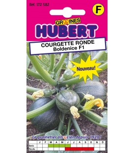 Graines de Courgette Ronde Boldenice F1