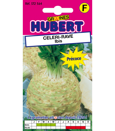 C&eacute;leri-Rave Ibis