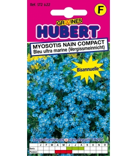 Graines de Myosotis Nain Compact Bleu Ultra Marine Vergissmeinnicht