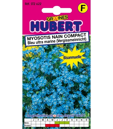 Myosotis Nain Compact Bleu Ultra Marine Vergissmeinnicht
