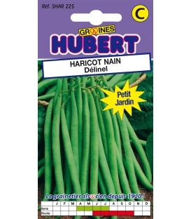 50 Graines de Haricot mangetout nain Delinel