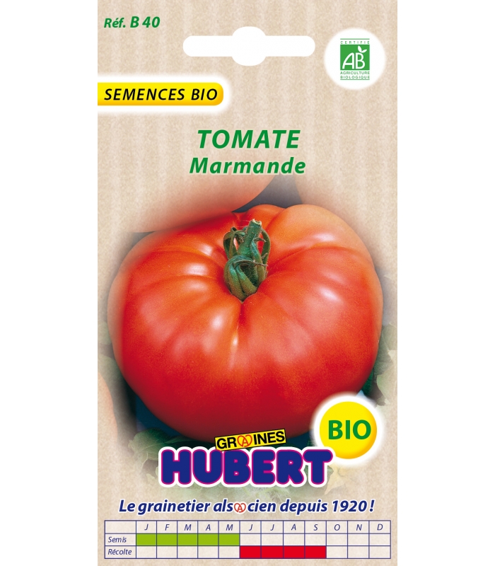 Légume Tomate Marmande UE Qualité Standard graines Indoor Greenhouse