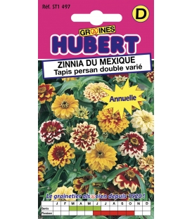 Graines de Zinnia du Mexique Tapis Persan Double Varié