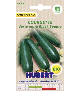 Graines de Courgette verte noire maraîchère BIO