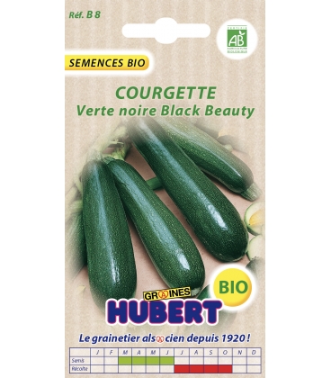 Courgette Black Beauty BIO