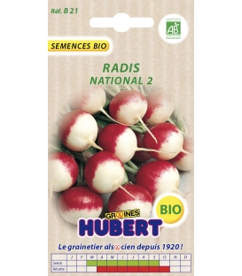 Graines de Radis Gaudry  2 BIO