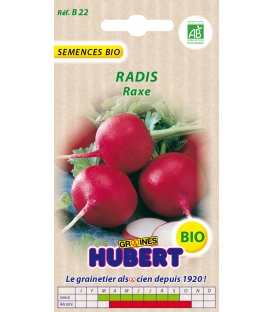 Graines de Radis Raxe BIO