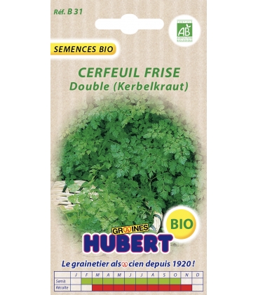 Graines de Cerfeuil Frisé Double BIO