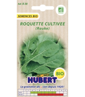 Graines de Roquette Cultivée (Rauke) BIO