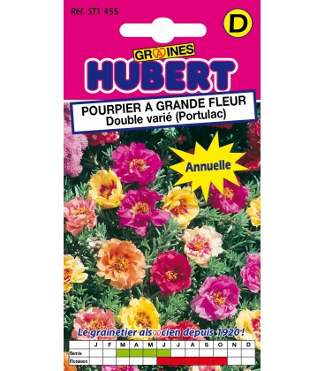 Pourpier &agrave; Grande Fleur Double Vari&eacute;