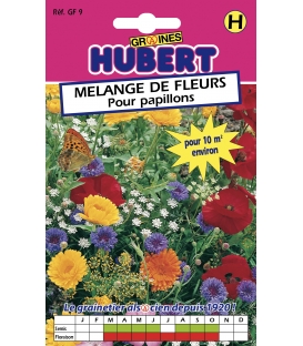 Mélange de graines de fleurs pour Papillons - Format ECO