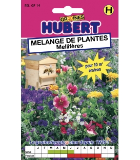 Melange de graines de Plantes Mellifères - Format ECO