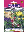 Melange de graines de Plantes Mellifères - Format ECO