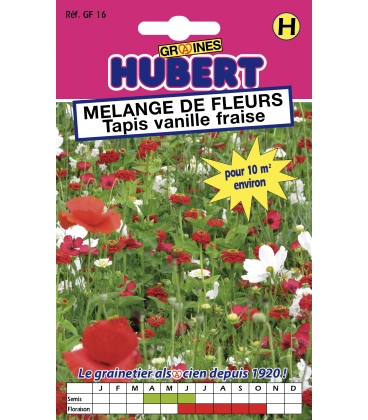 M&eacute;lange Tapis Vanille Fraise -  Format ECO