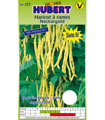 Haricot Neckargold Ramant