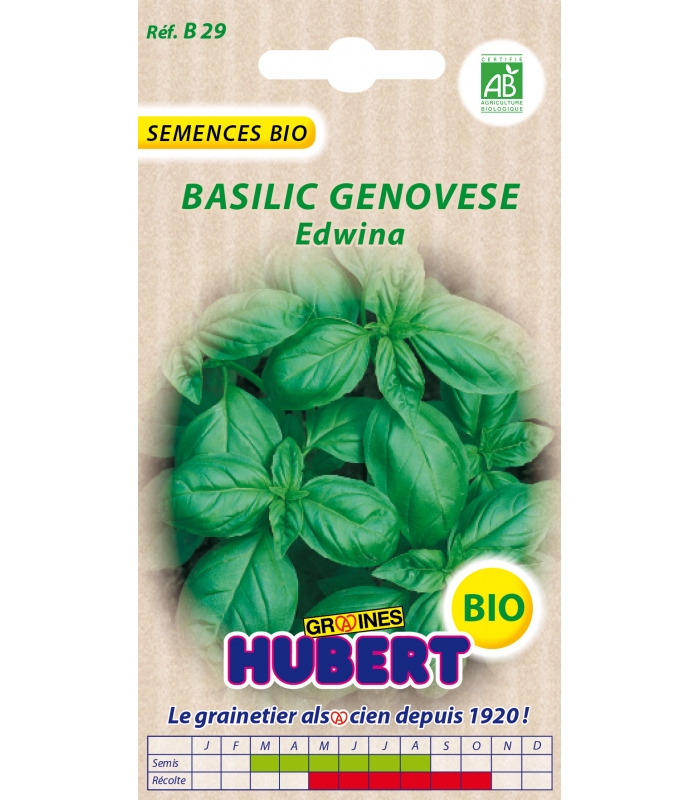 Graines de Basilic Genovese Edwina BIO : achat/vente