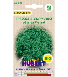 Graines de Cresson Alénois Frisé BIO