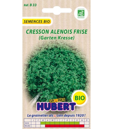 Graines de Cresson Alenois - Achat direct au producteur