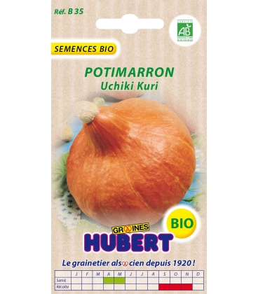 Graines de Potimarron Uchiki Kuri BIO