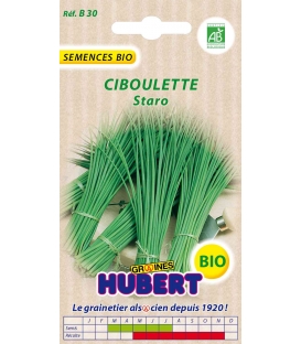 Graines de Ciboulette Staro BIO