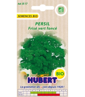 Graines de Persil Frisé Vert Foncé BIO