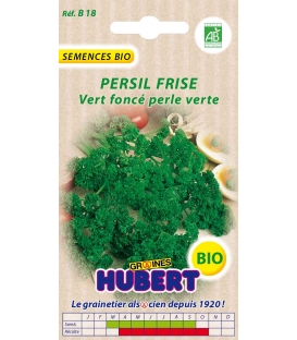 Graines de Persil Frisé Perle Verte BIO