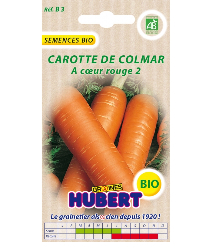 La graine de carotte en parfumerie - Marie Claire