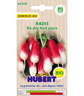 RADIS de 18 jours - Les graines Bio Jaime-jardiner.com