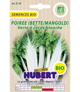 Graines de Poirée Verte à Carde Blanche BIO - © Image protégée téléchargement interdit !