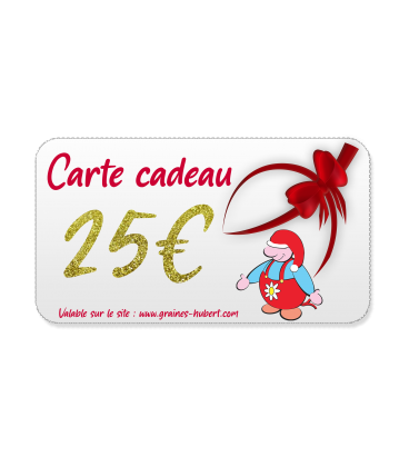 Carte Cadeau 25 €