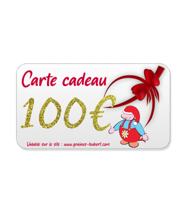 Carte Cadeau 100 €