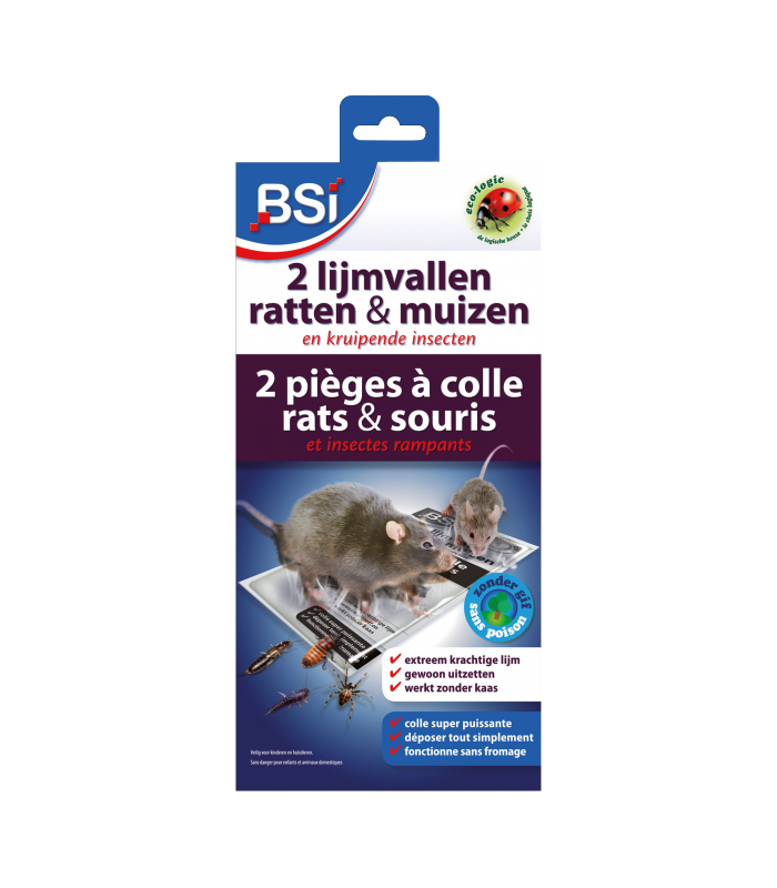 Mélange de graines pour appât à souris et rats