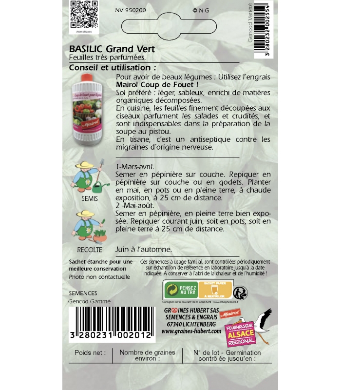 Graines de basilic grand'vert en sachet Vilmorin