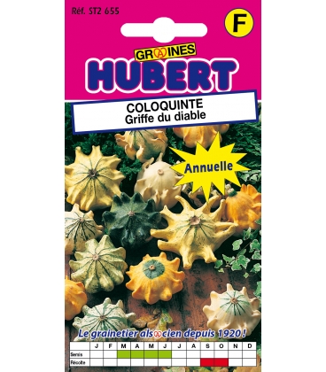Coloquinte Griffe du Diable