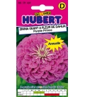 Graines de Zinnia Géant à Fleur de Dahlia "Purple Prince"