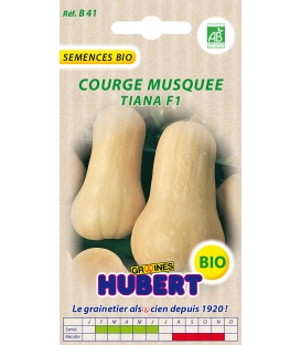 Graines de Courge Musquee Avalon F1 Butternut