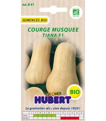 Graines BIO de Courge Musquée Tiana F1 Butternut