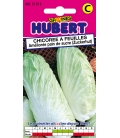 Graines de Chicorée à Feuilles Ameliorée Pain de Sucre "Zuckerhut" ©Images protégées téléchargement interdit !