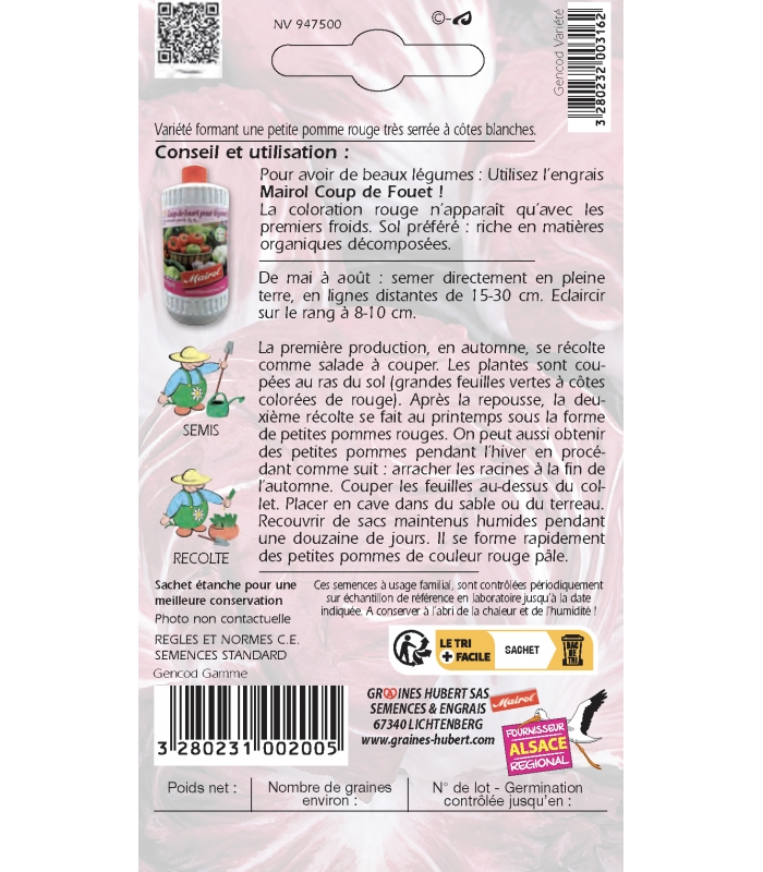 Graines de Chicorée Rouge de Vérone - Radicchio en sachet de 2 grammes