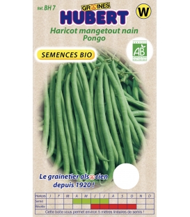 Graines de Haricot Mangetout Nain Pongo BIO © Image protégée téléchargement intedit !