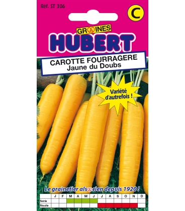 Graines de carotte fourragère Jaune obtuse du Doubs