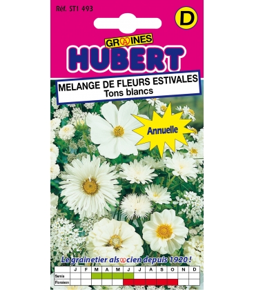 Fleurs pour Bouquets Blancs