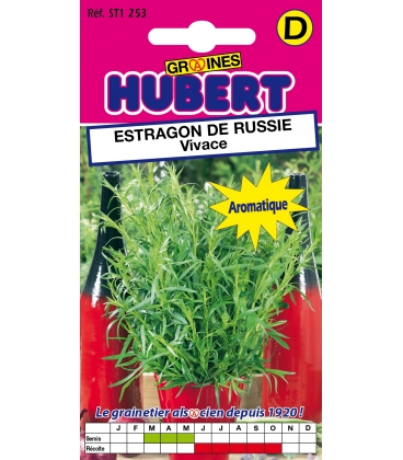 Estragon de Russie