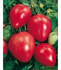 Graines de Tomate Cuor Di Bue Bio (Coeur de Boeuf) ©Images protégées téléchargement interdit !