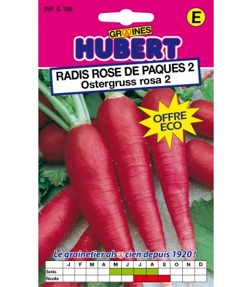 Graines de Radis rose de Paques 2  "Ostergruss Rosa" 