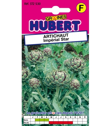 Artichaut Imp&eacute;rial Star